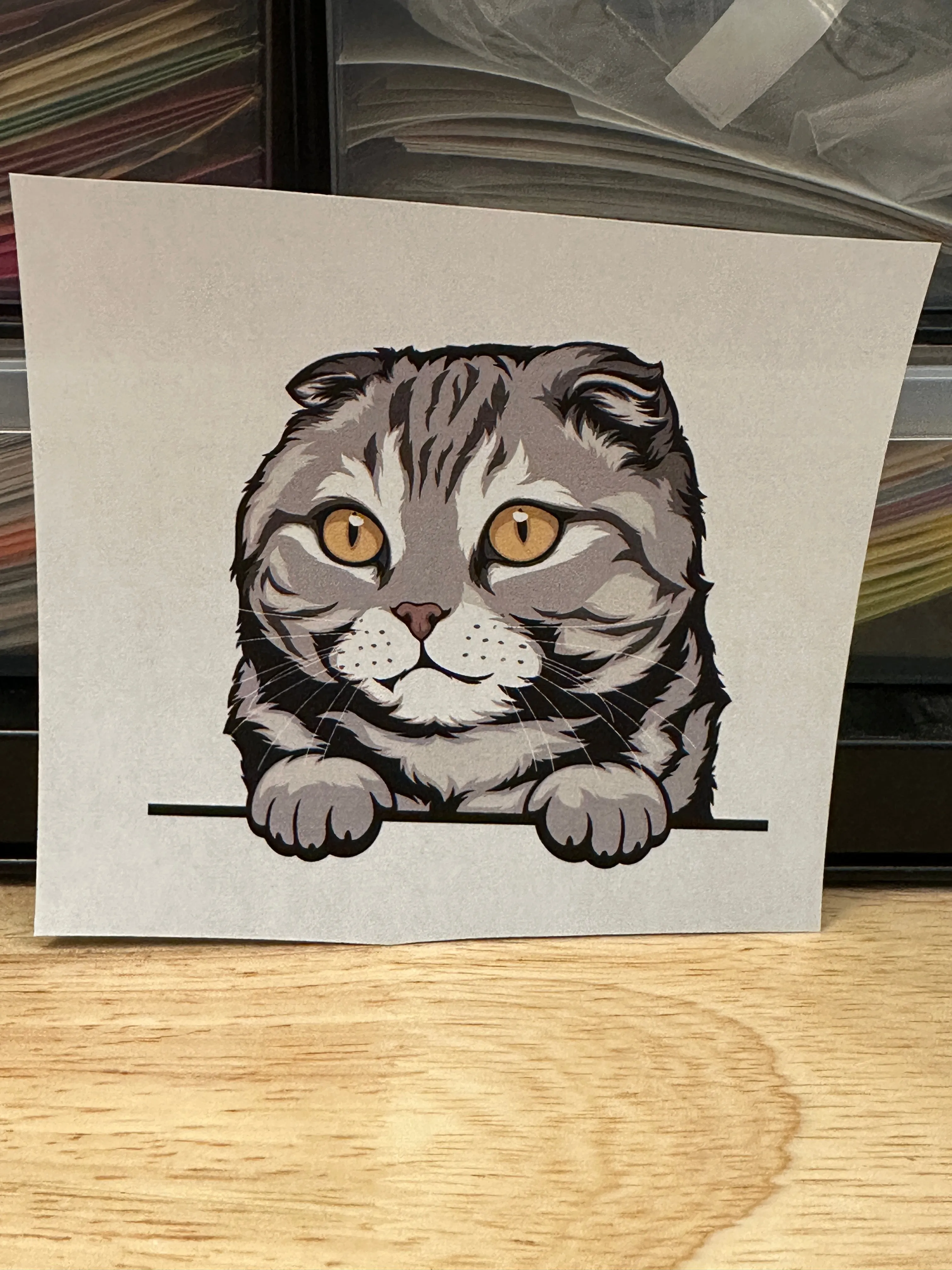 Peeking Grey Scotish fold cat  Clear Sublimation or Clear Waterslide option,